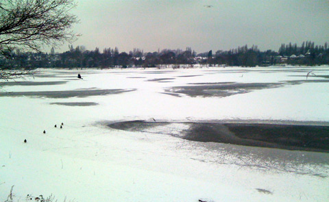 Edgbaston Reservoir in the Snow